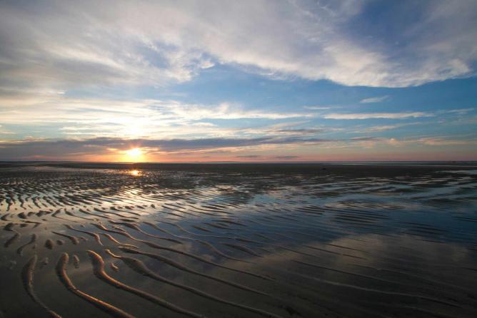 Cape Cod
